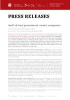 Audit of local government-owned companies